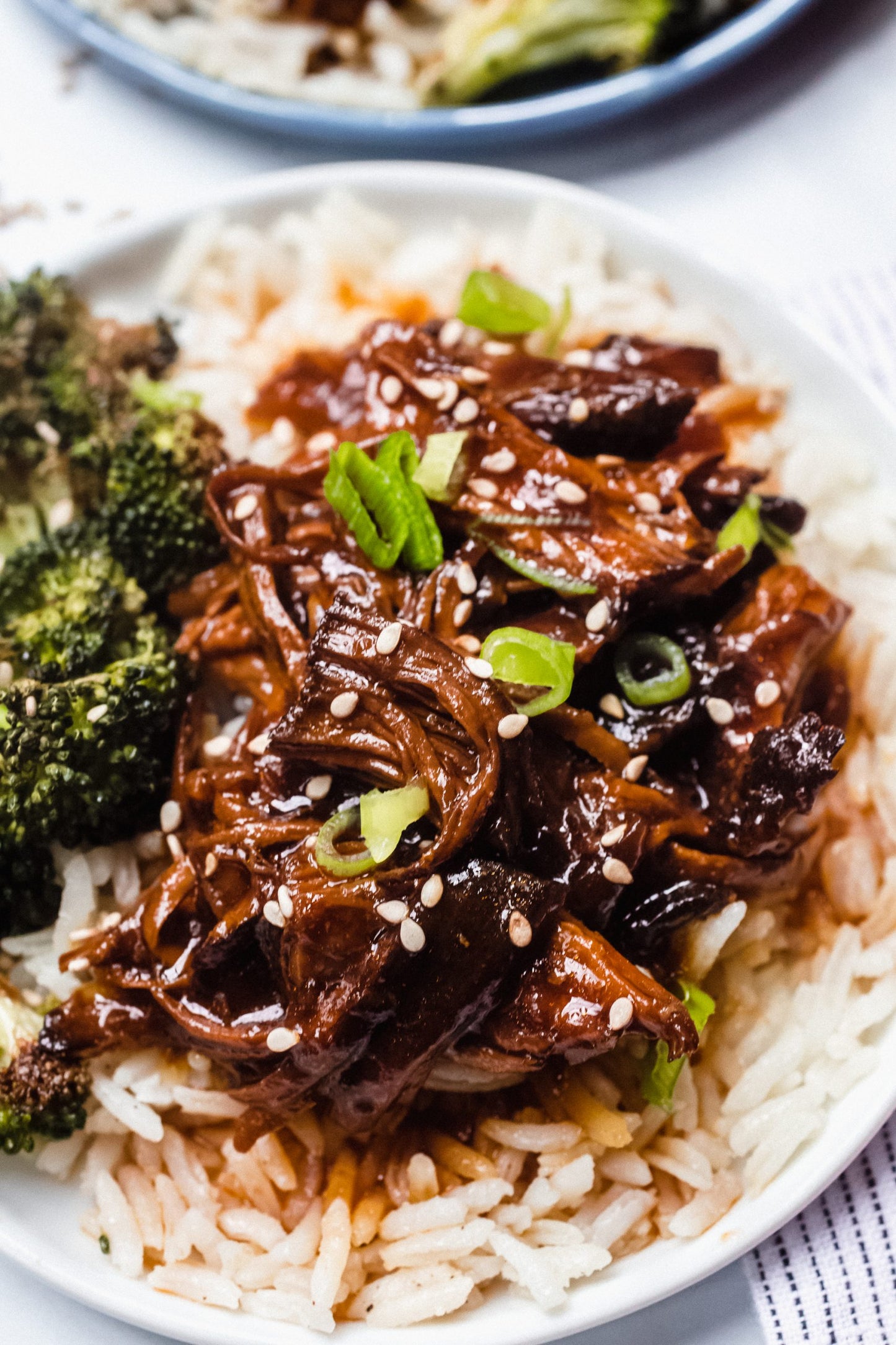 Honey Garlic Chicken